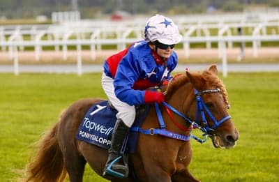 Inlägg 15 av Shetlandsponny med titeln Ponnygalopp