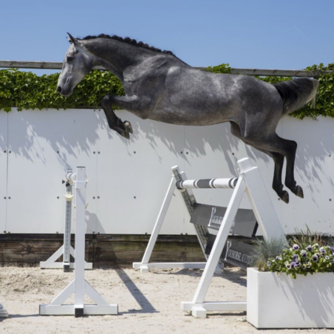 Bild 1 av Askan GK Z