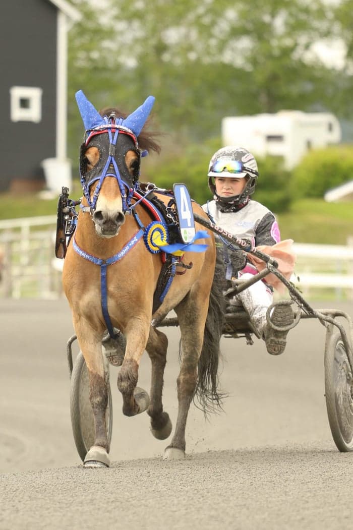 Media 3 av Min Lilla Amberley