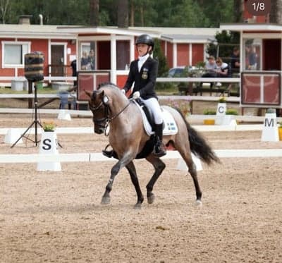 Inlägg 33 av Dressyr med titeln 4:a första dagen på NM