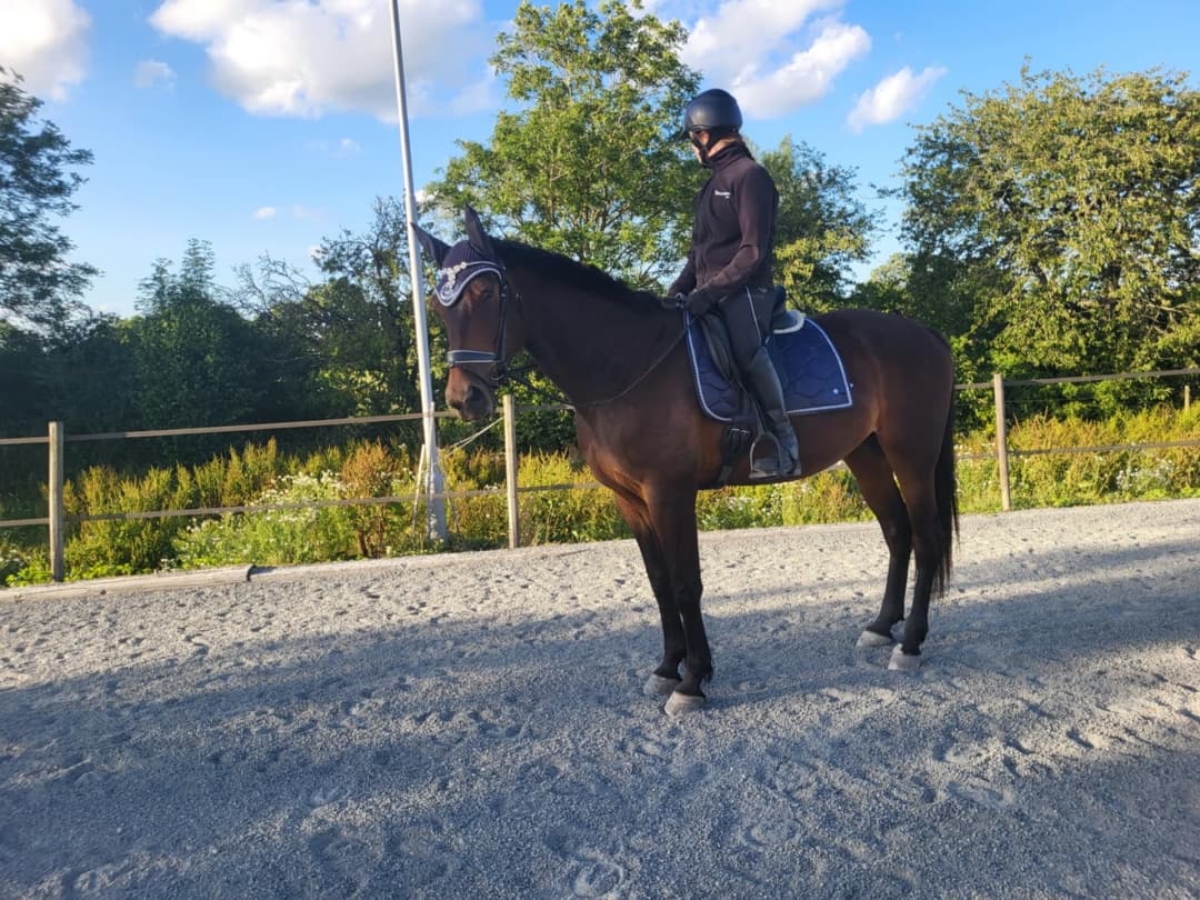 Bild 1 av Otrolig snäll och positiv 5 åring.(Besiktad)