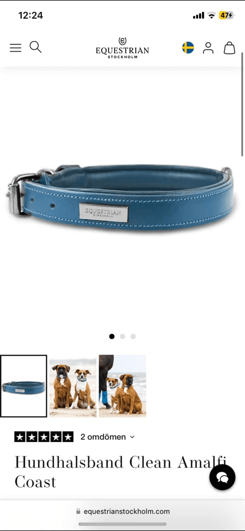 Bild 1 av Blått hundhalsband storlek S 