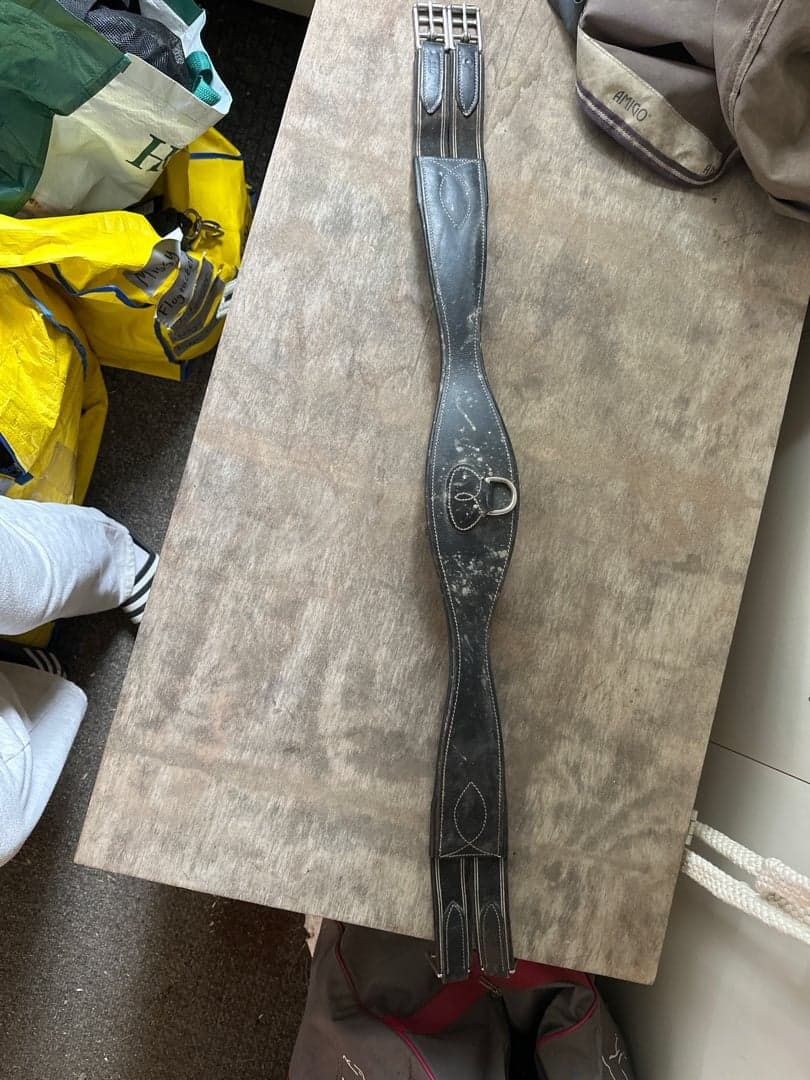 Bild 1 av Svart sadelgjord 