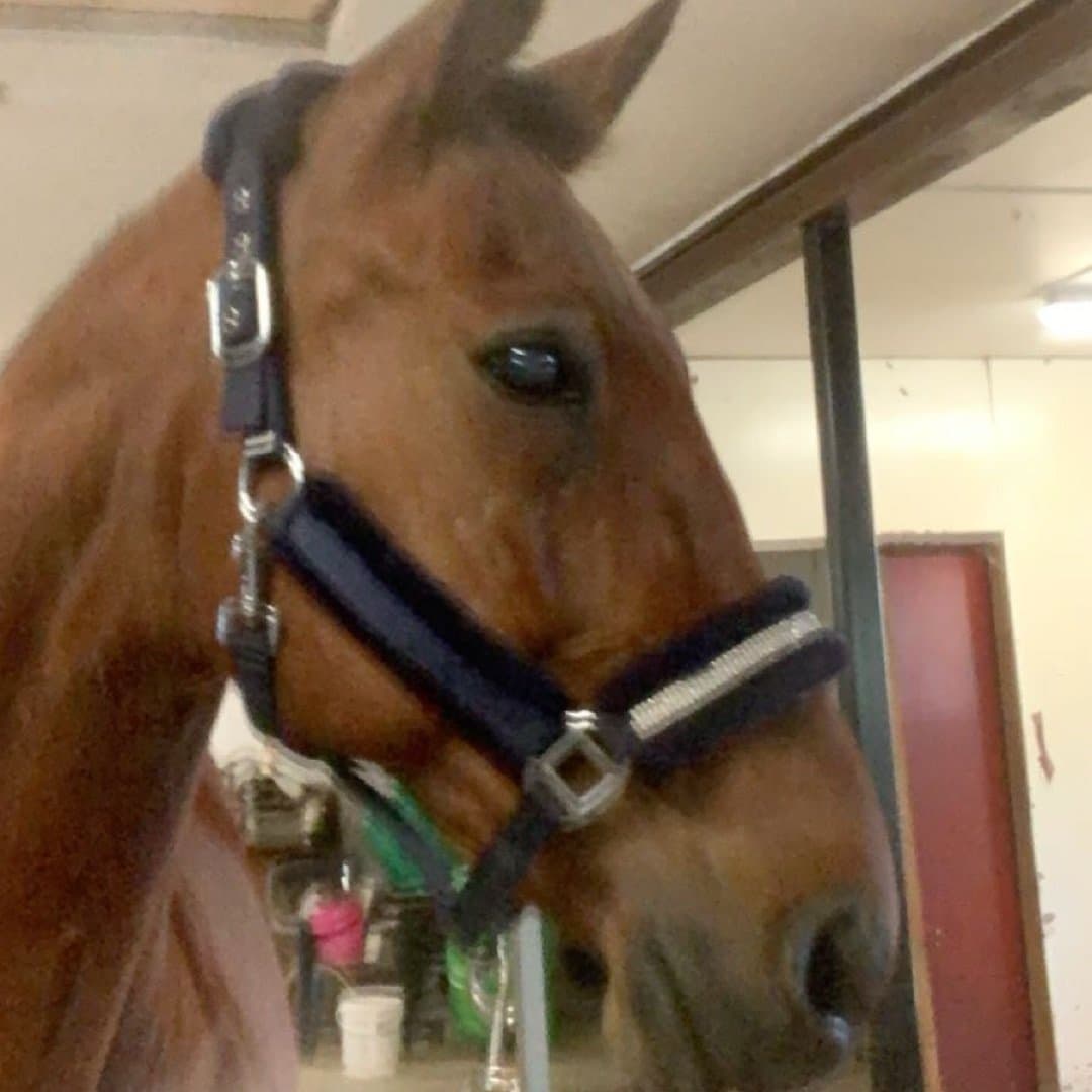 Image 1 of Dream To Remember