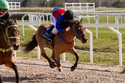 Ponnygalopp 