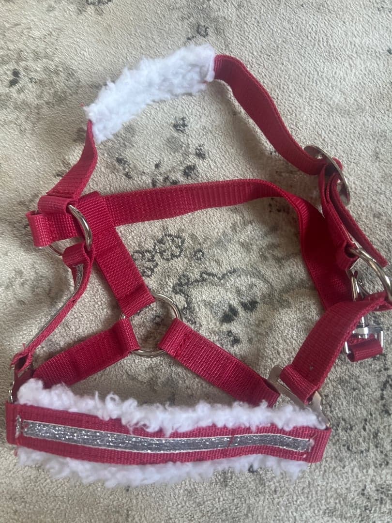 Bild 1 av Röd shetland grimma