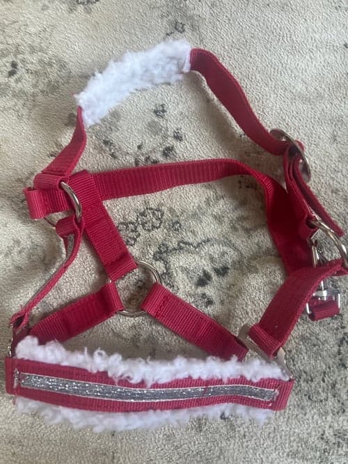 Bild av Röd shetland grimma