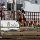 Profilbild av Alexia Von tour