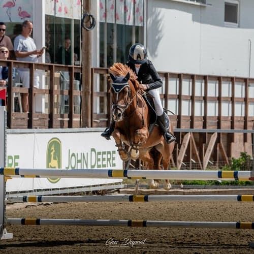 Profilbild av Alexia Von tour