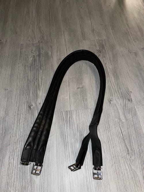 Image of Svart sadelgjord