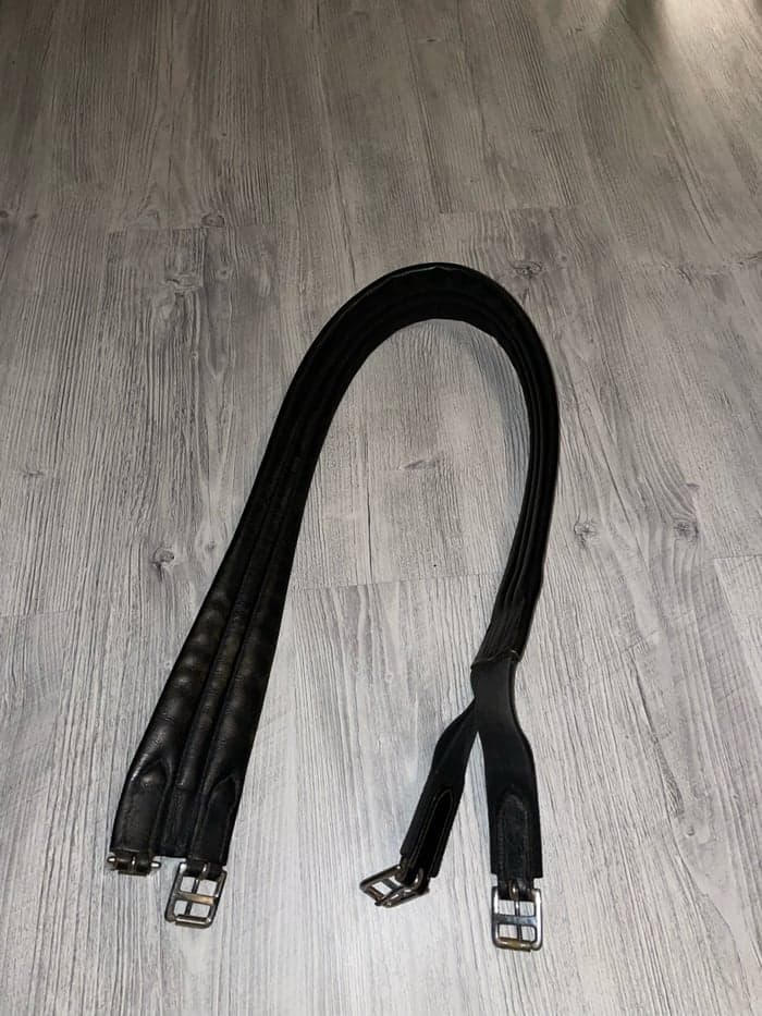 Media 1 of Svart sadelgjord