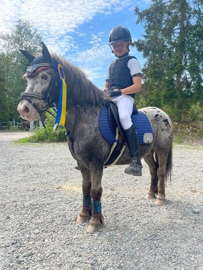 Inlägg 82 av Hoppning med titeln Hopptävling 