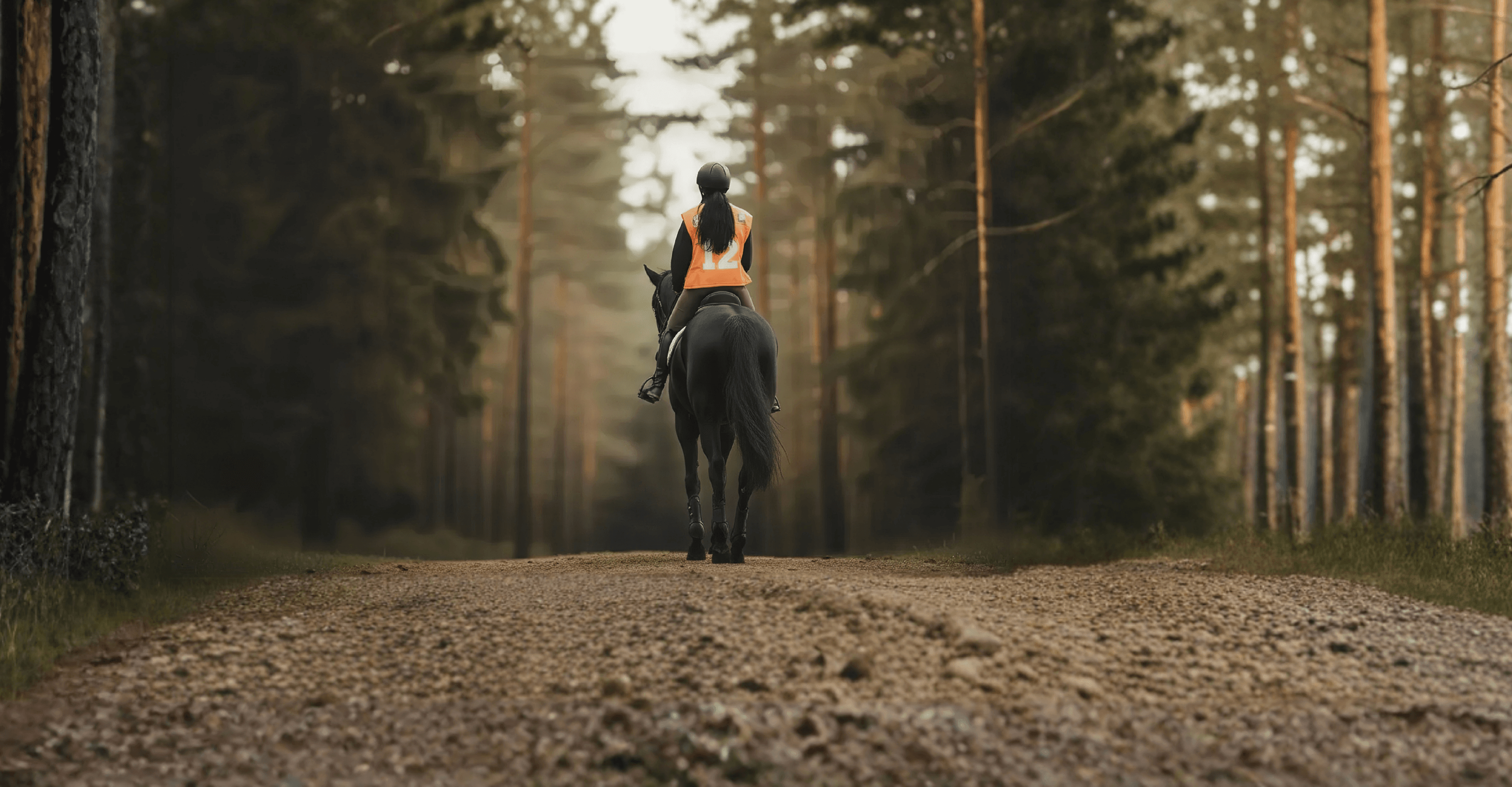 Image of Endurance riding