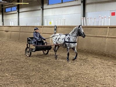 Inlägg 33 av Sportkörning