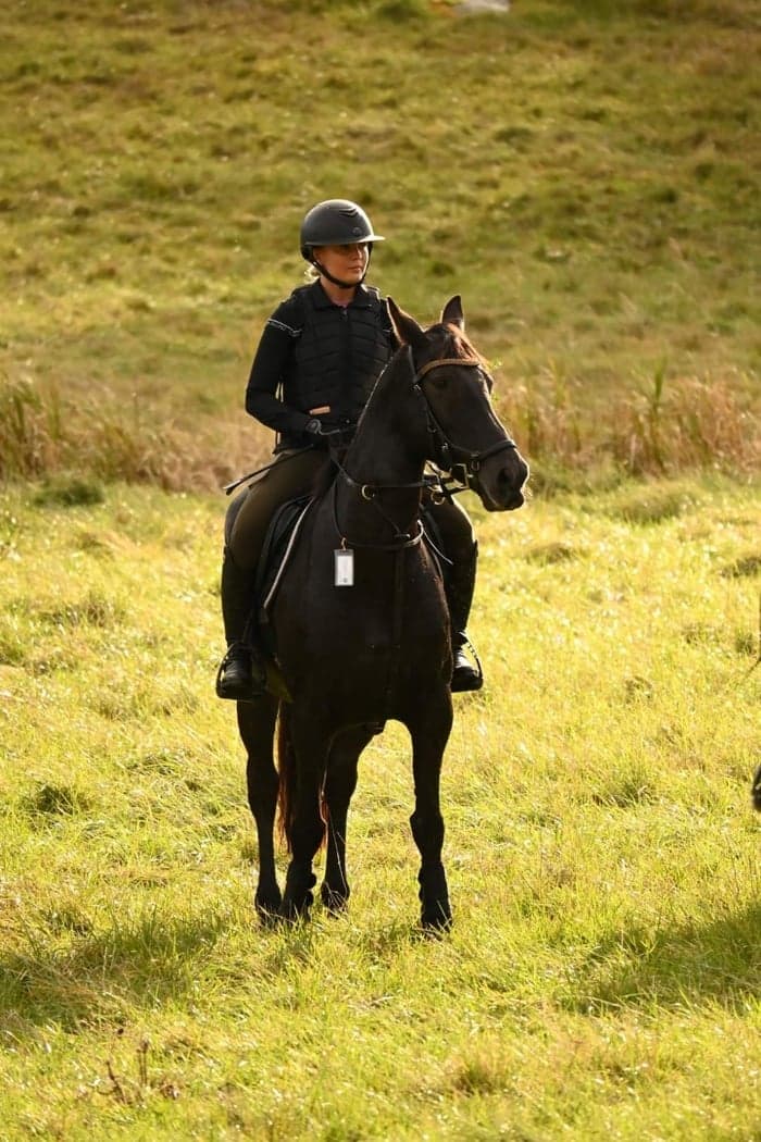 Media 1 av Dixie Dancer