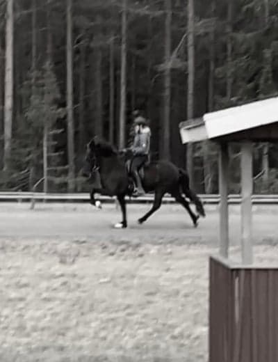 Hel från Snäcksjön