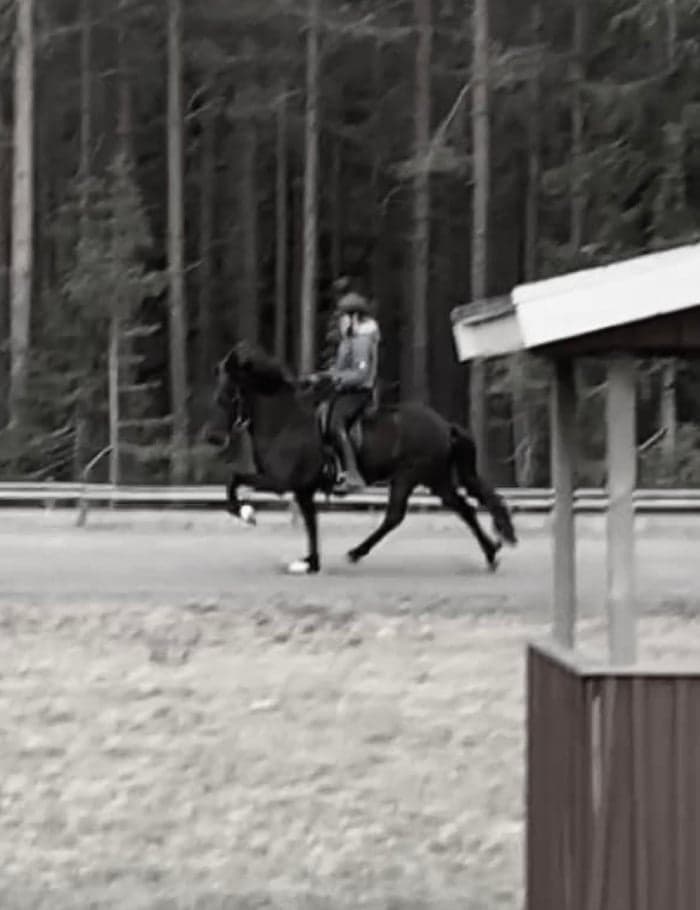 Media 1 av Hel från Snäcksjön