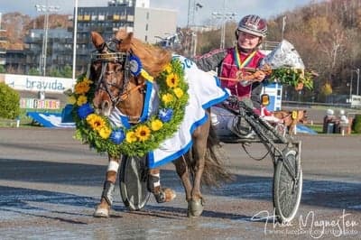 Inlägg 13 av Trav med titeln DPK’s ponnytravgala 