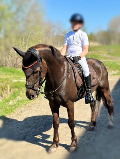 Inlägg 5 av Dressyr med titeln Dressyrstjärnorna 