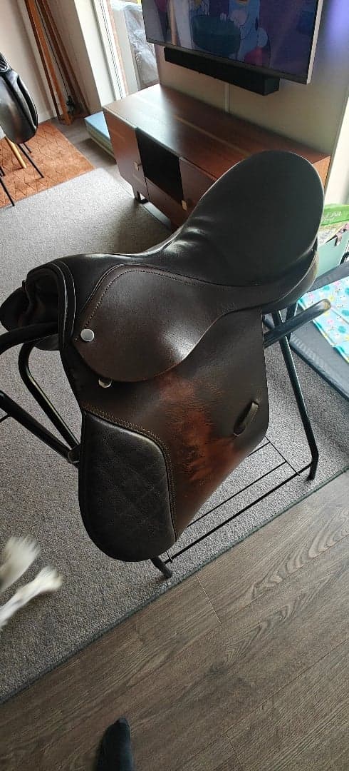 Bild 4 av Mörkbrun äldre sadel