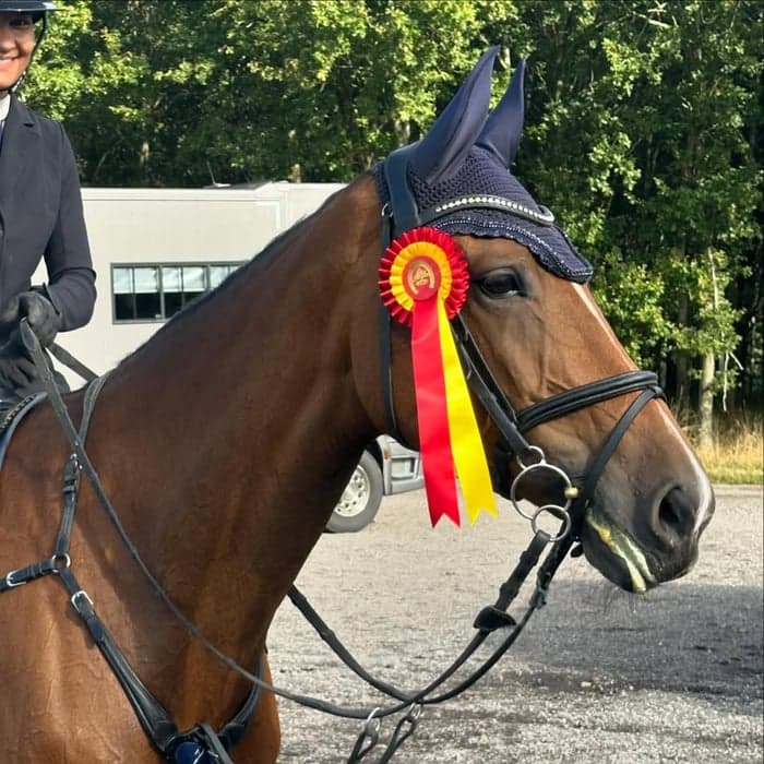 Media 2 av Lille Asbjergs La Vita