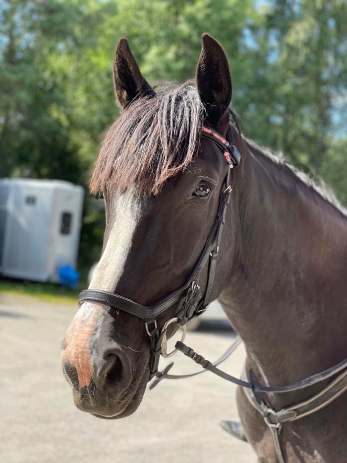 Media 1 av Munsboro skyfall