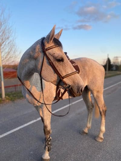 Inlägg 92 av Allround