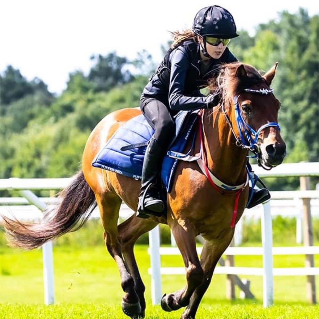 Bild 1 av Mellanbyns Legolas