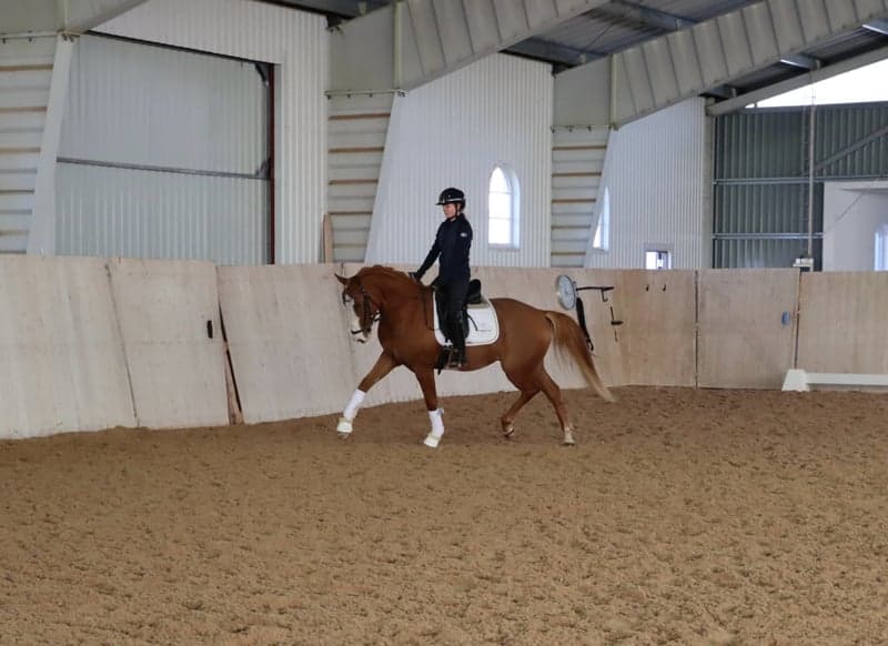 Bild 2 av Herkules af Råås