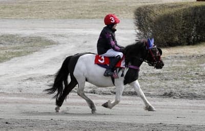 Inlägg 16 av Monté med titeln Monte 