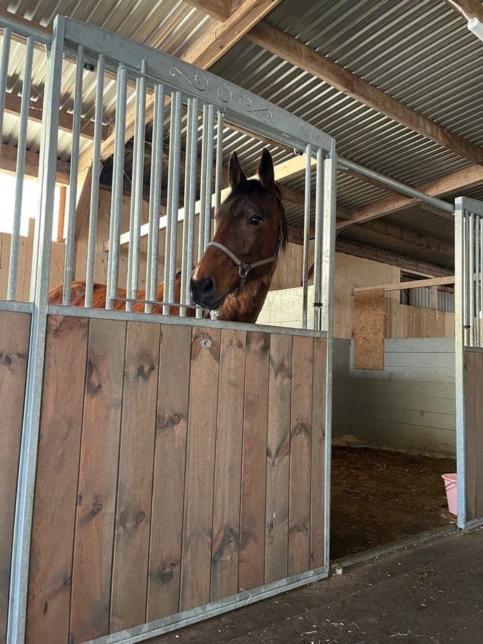 Media 2 av Tout la Face