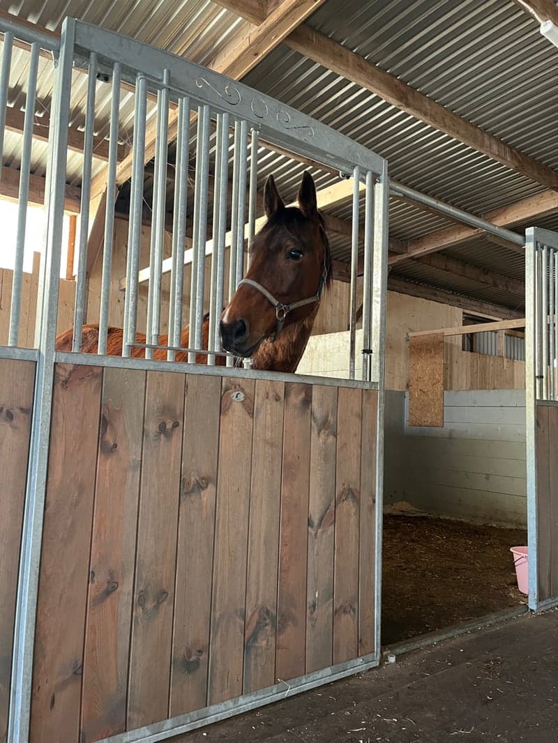 Bild 2 av Tout la Face