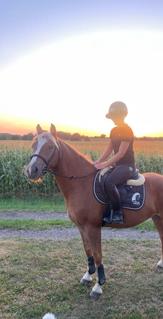 Bild 1 av Apple Jack