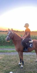 Profilbild av Apple Jack