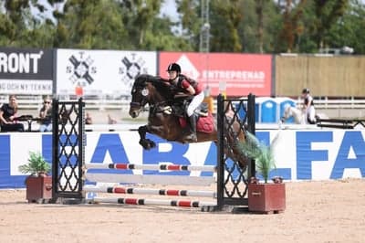 Inlägg 14 av Kallblodstravare med titeln Hopptävling 