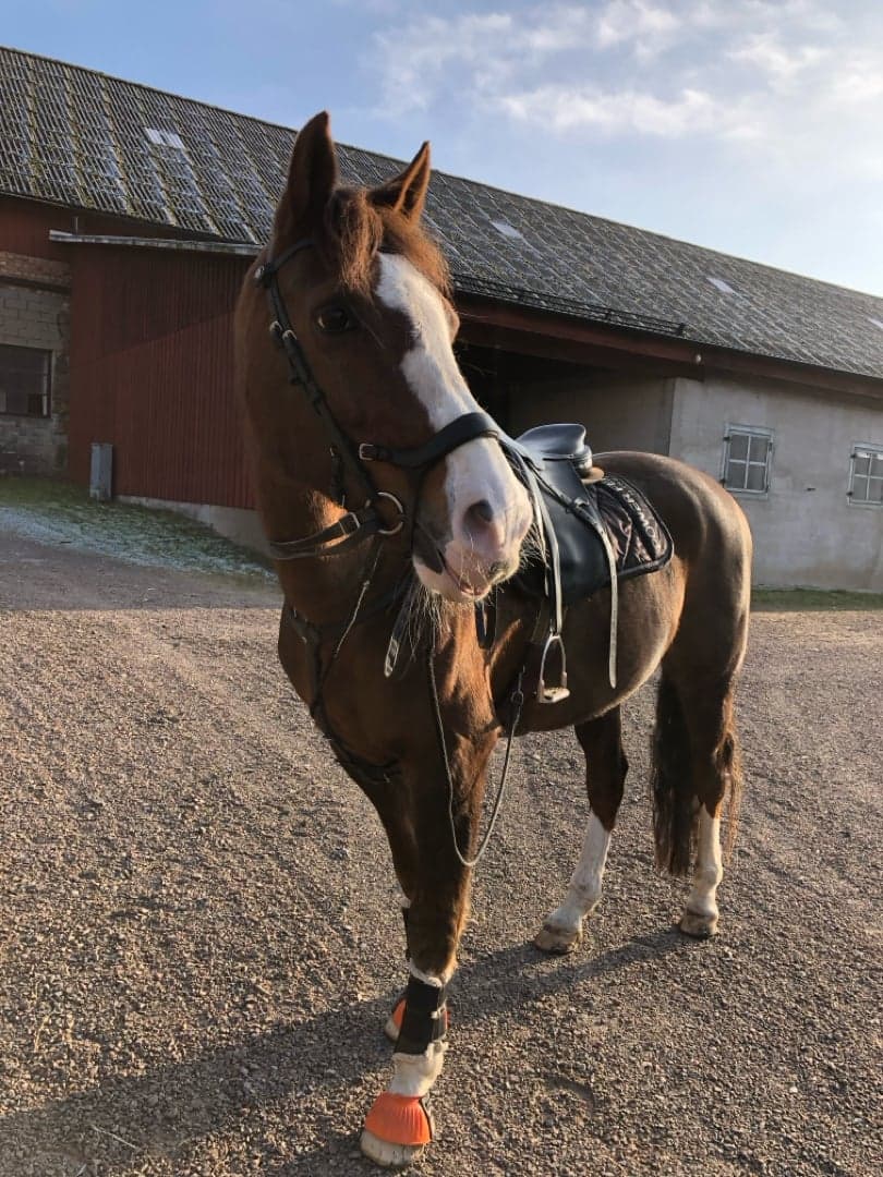 Bild 1 av Supermans Convalj