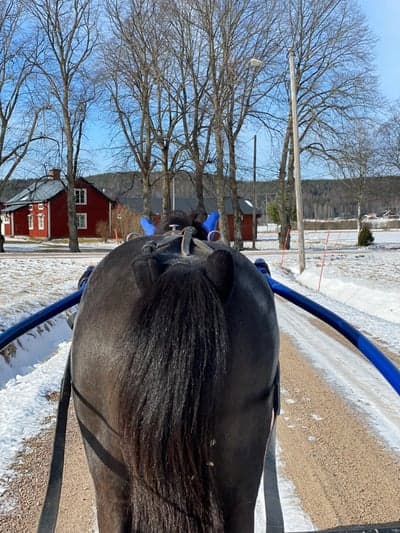 Inlägg 22 av Sportkörning med titeln Den här dagen ger en hopp på vår snart😍☀️