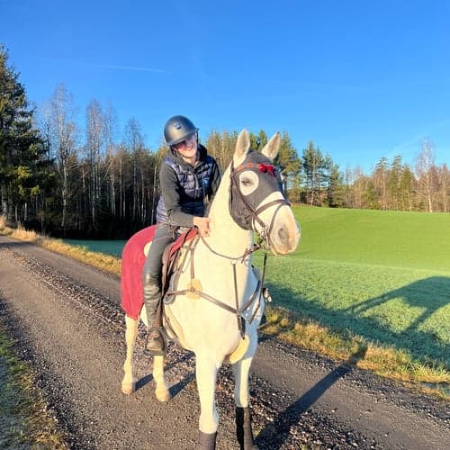 Profilbild av Ulrica Järpehult