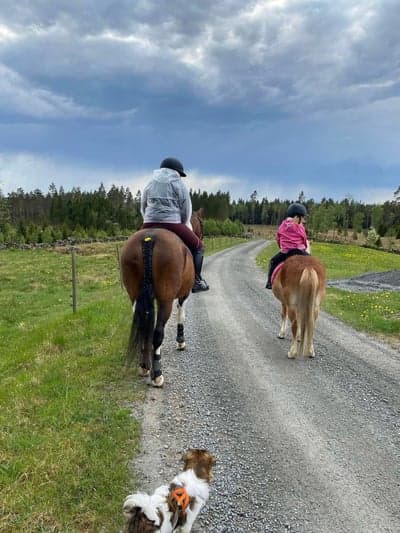 Inlägg 56 av Allround