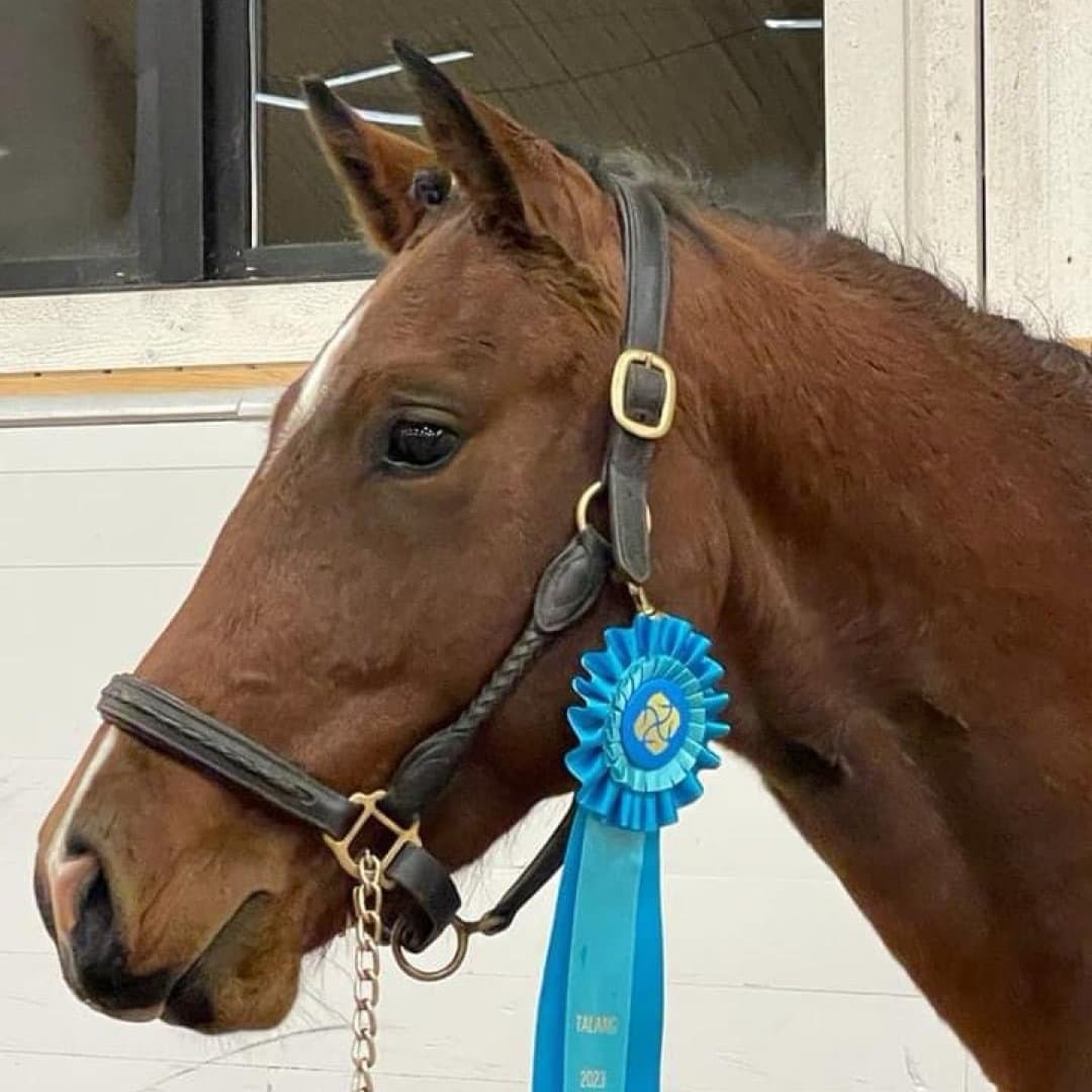 Bild 1 av Happy 2 CU LSA (SWB)