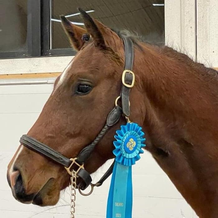 Media 1 av Happy 2 CU LSA (SWB)