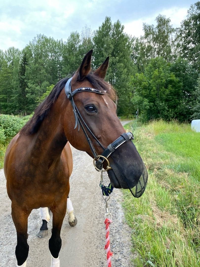 Bild 1 av Entertainment