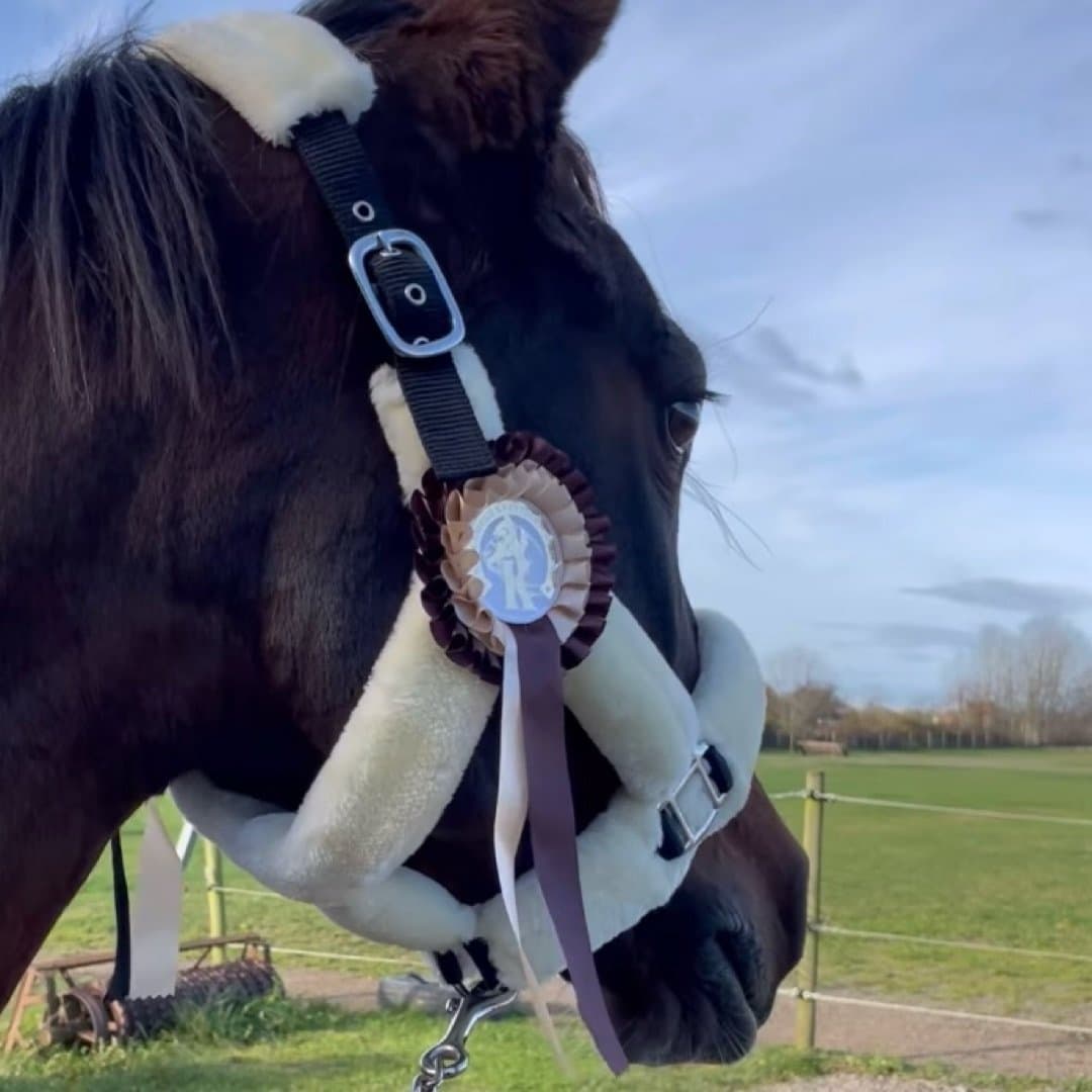 Bild 1 av Fallen angel