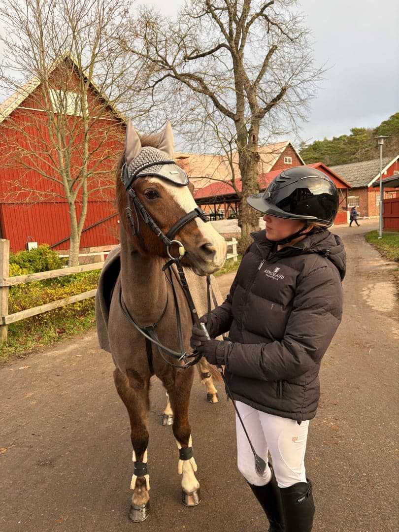 Bild 1 av Arhults Felizia