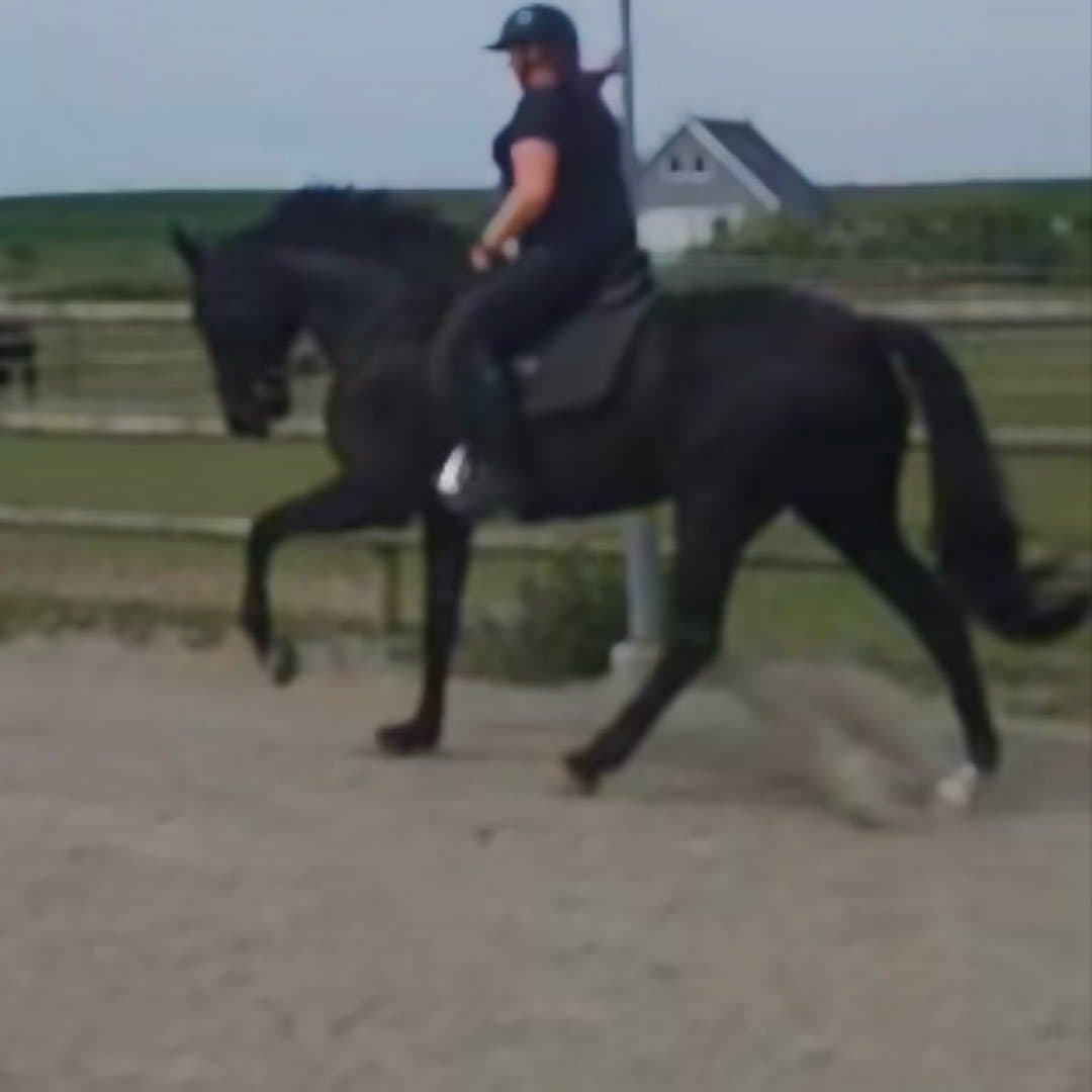 Image 1 of Bella