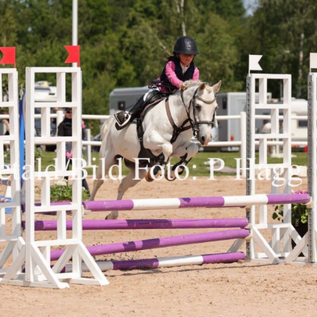 Bild 1 av Timmy too too