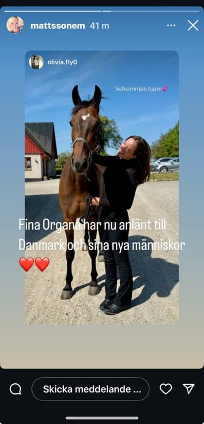Inlägg 10 av Varmblodstravare med titeln Hon har flyttat till Danmark 🇩🇰  💕