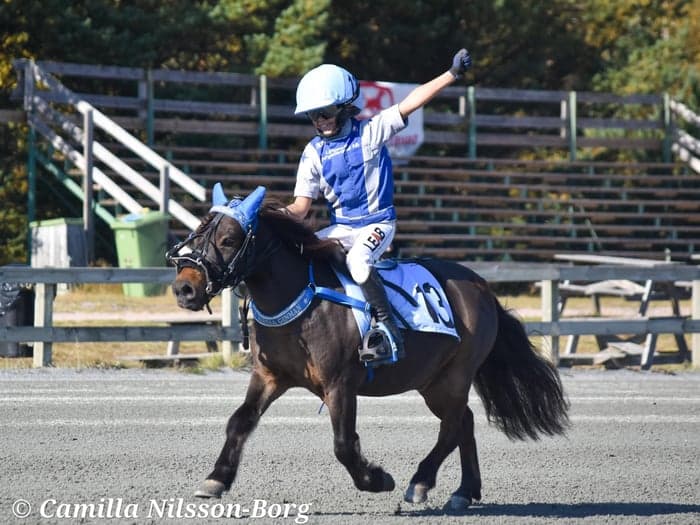 Media 17 av Månstorps Tuffing