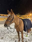 Profilbild av Escada