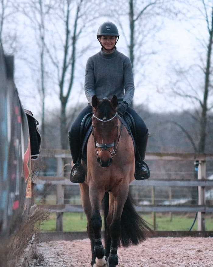 Media 2 av Professionell utbildning & tävling av din häst